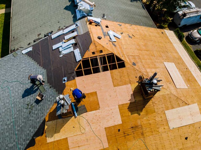 A closeup of fallen leaves being cleared from a residential shingle roof in autumn.